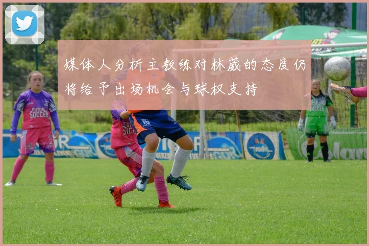 媒体人分析主教练对林葳的态度仍将给予出场机会与球权支持