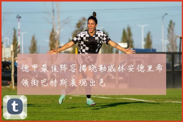 德甲最佳阵容揭晓勒威林安德里希领衔巴特斯表现出色