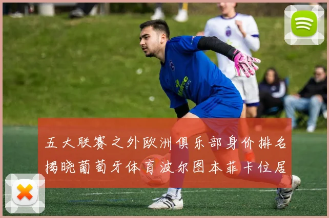 五大联赛之外欧洲俱乐部身价排名揭晓葡萄牙体育波尔图本菲卡位居前三