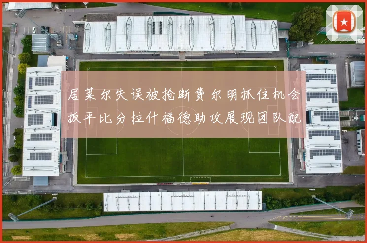 居莱尔失误被抢断费尔明抓住机会扳平比分拉什福德助攻展现团队配合