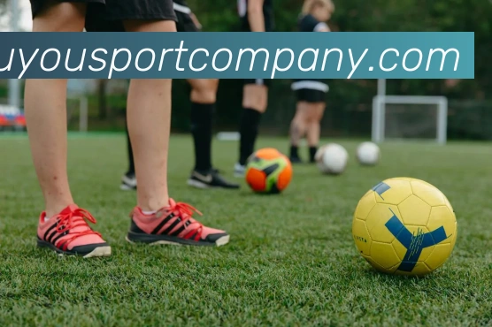 九游足球平台生态图